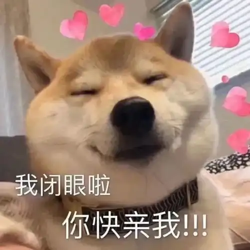 微信聊天情包情包,很实用噢记得点赞收藏 微信聊天情包情包,很实用噢记得点赞收藏