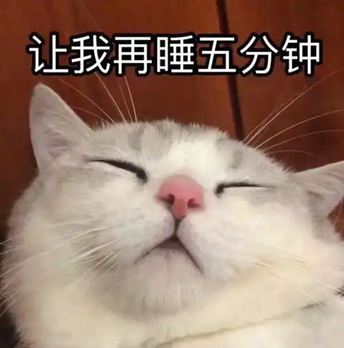 斗图专用超可爱萌宠表情包,又萌又搞笑,主人想把你捧在手心上  斗图专用超可爱萌宠表情包,又萌又搞笑,主人想把你捧在手心上