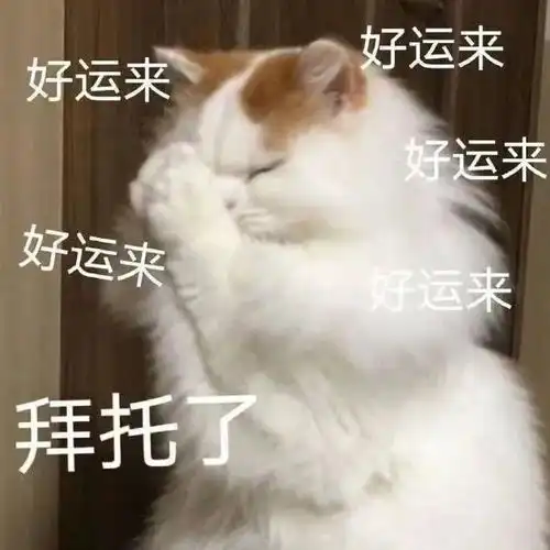  就算身陷泥潭,也能活出精彩的星座