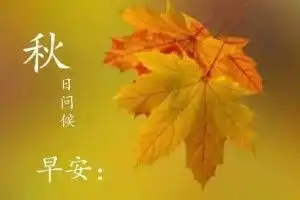 清晨问候图片搞笑善待自