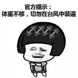  台风又双叒叕来袭我们如何面对自然灾害