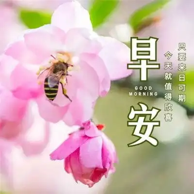  2023最新早晨好早上好漂亮问候祝福图片头像