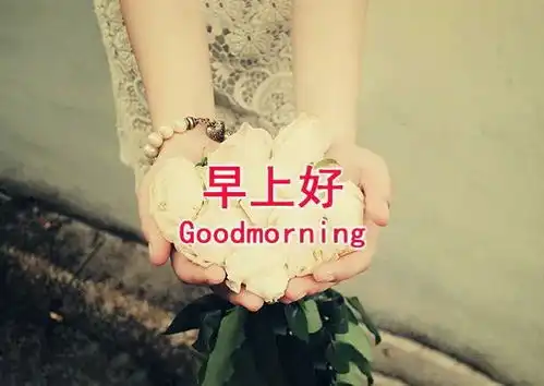  早上好温馨祝福图片,朋友圈真诚祝福心语