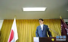  野田下台,安倍晋三称将努力改善日中关系