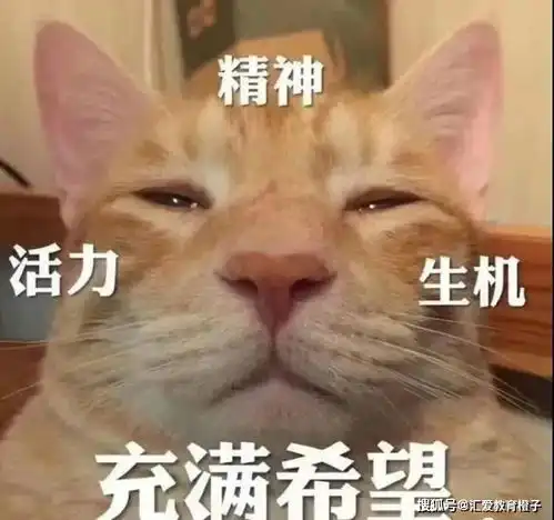  你是个成熟的父母了,不能还这样教育孩子