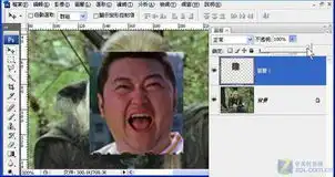 胖子的搞笑图片移花接木