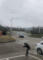 哈士奇动态图片搞笑gif