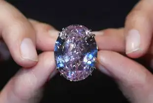  世界最贵粉红之星钻石估价超6千万美元组图