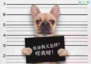  qq搞笑说说带图片,空间搞笑说说带图片