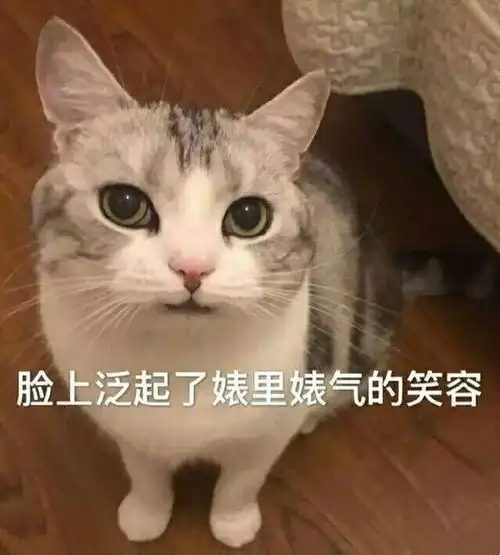 每日搞笑可以笑个不停的沙雕段子