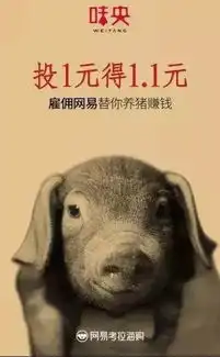  论营销,我只服网易