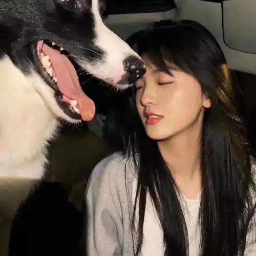  靓仔靓妹换微信头像啦