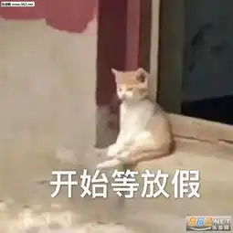凤姐的图片大全表情包比