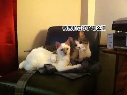 居然在家偷偷做这件事,结果被主人撞见  居然在家偷偷做这件事,结果被主人撞见