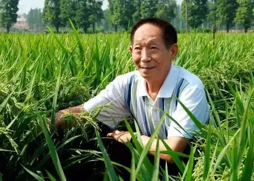  从轮椅到照片科学家的另一种遗产价值几何