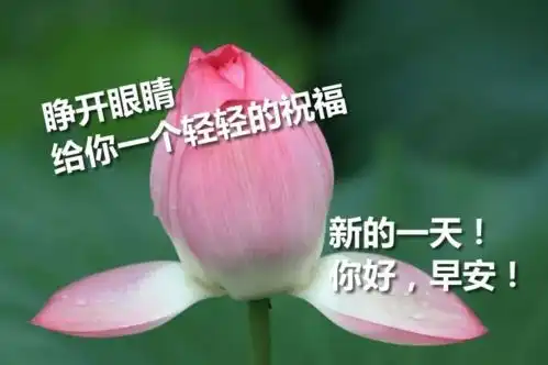 明白了得失与悲喜,生活之中,人要轻松,心要自在早安才是真  明白了得失与悲喜,生活之中,人要轻松,心要自在早安才是真