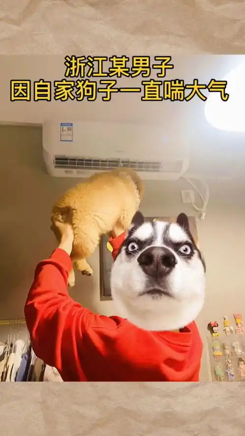  搞笑如果我不站出来,一定会有更多无辜的受害者