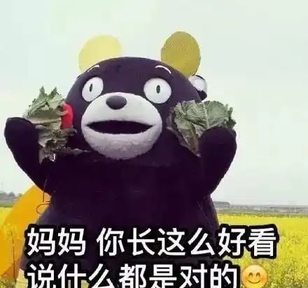 网上叫妈的表情包奇趣