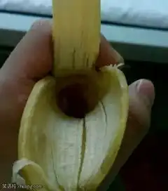  搞笑图片叫了一排外国妞,不知道选哪个好呢