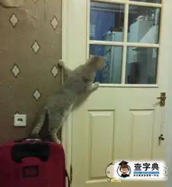  一网友说他每次做饭时总觉得有双眼睛在盯着他
