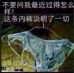  洋葱新闻可能活不到月底了