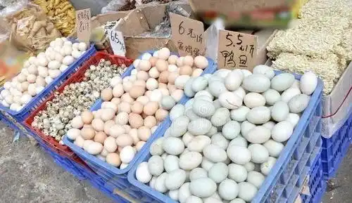  买鸭蛋时,选白壳还是青壳差别很大,建议弄明白了再买