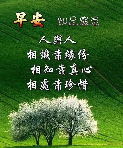 最暖心早上好短信问候语录,朋友圈早上好问候句子暖心语录带图片