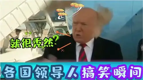  特朗普假发被吹飞,普京浑身上下抖包袱,各国领导人搞笑瞬间