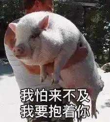 猪睡觉图片搞笑整人表情