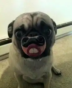 搞笑段子堂妹上大学时,买了一件白色仿马海毛毛衣  搞笑段子堂妹上大学时,买了一件白色仿马海毛毛衣