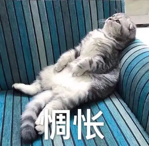 呸表情包图片吸猫