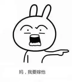 微信恶搞兔子带字表情包嫁娶版