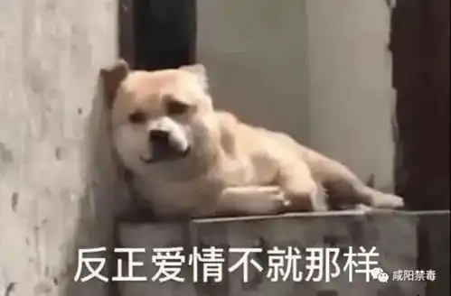  这样过情人节,也太刺激了吧