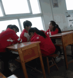 哈士奇动态图片搞笑gif