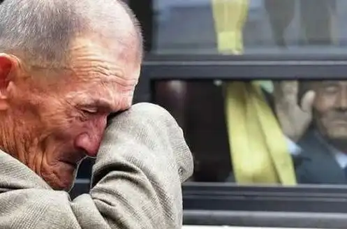  警犬含泪送别主人,追到一半,主人一声命令乖乖坐下