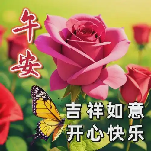 中午好问候祝福朋友