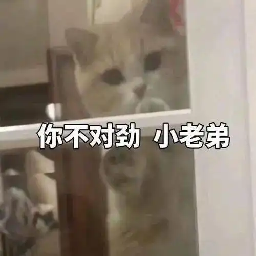  高校图鉴天津职业技术师范大学