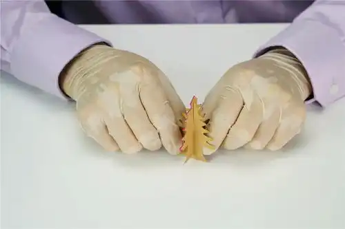  魔力科学小实验,铁树开花十年难遇,纸树开花只需一晚