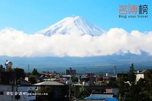 203期富士山下吃喝玩乐  203期富士山下吃喝玩乐