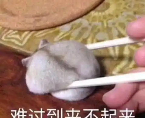 靓仔图片搞笑习惯孤独