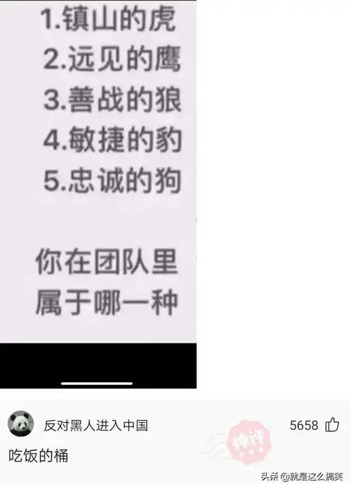  幽默搞笑图片段子动图集锦十一