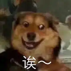  正式官宣4月值得期待的大屏旗舰,马上就来