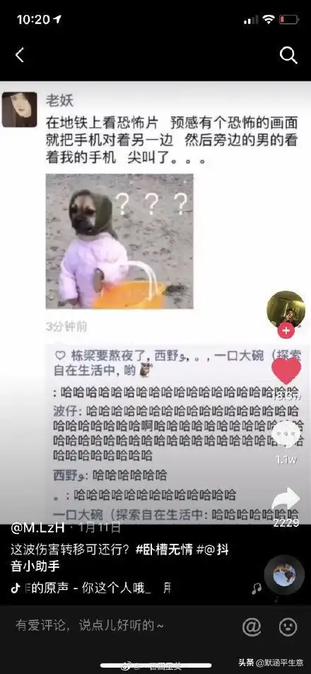  有哪些不论你多难过,看后也会笑出声的搞笑图片