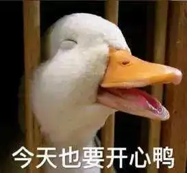  新手宝妈必读之双12躲坑指南