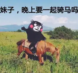  友谊第一,李宗伟第二每日轻松一刻8月23日晚间版