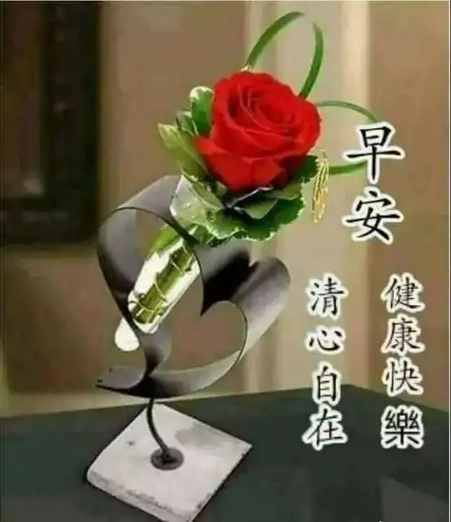 胖三斤搞笑图片朋友圈