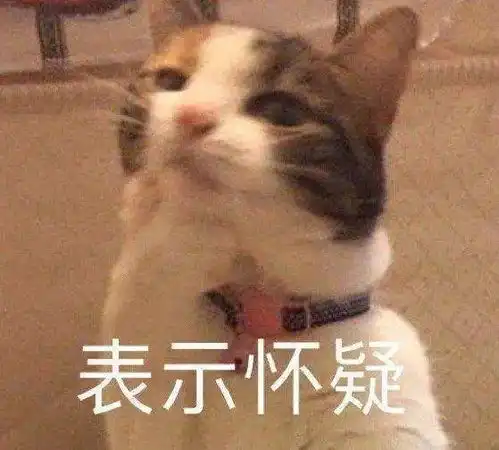  又到了大型掉毛季,你想过用猫毛狗毛织毛衣吗