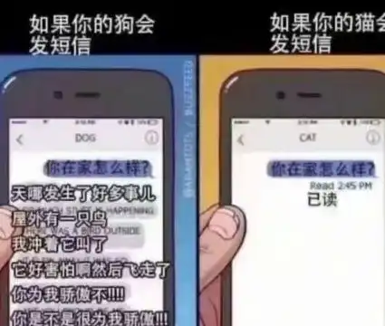 30张搞笑图片,哪一张是你的笑点  30张搞笑图片,哪一张是你的笑点