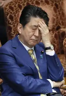  安倍出席众议院预算委员会会议不顾形象当众提裤子