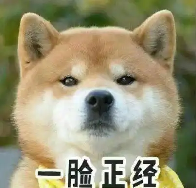  一本正经胡说的沙雕句子,幽默搞笑,活跃气氛